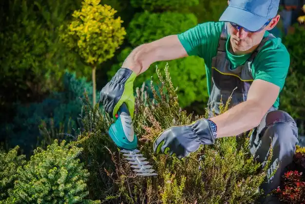landscaping services Boyce